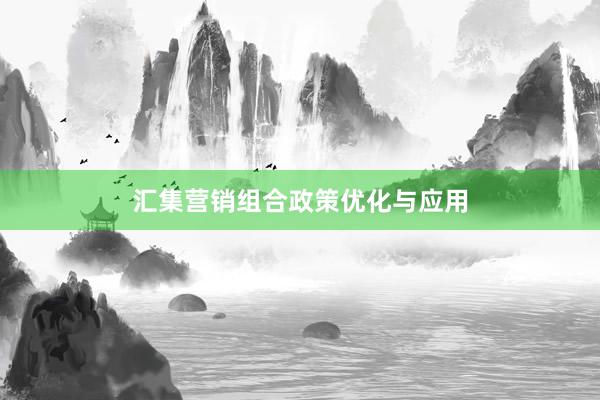 汇集营销组合政策优化与应用