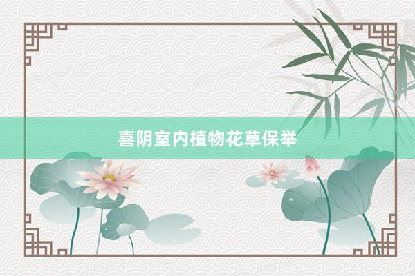喜阴室内植物花草保举