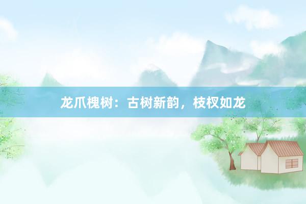 龙爪槐树：古树新韵，枝杈如龙