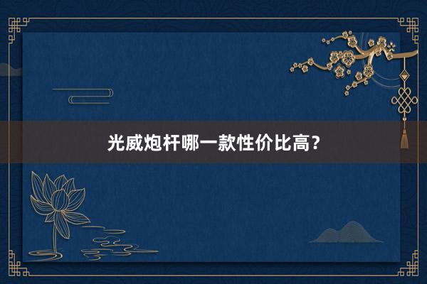 光威炮杆哪一款性价比高？